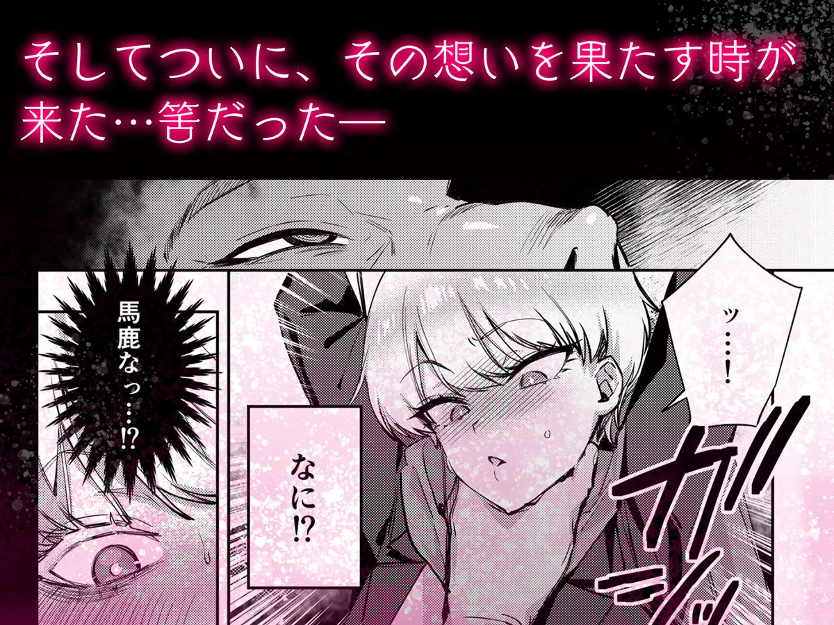 復讐に飢えた没落令嬢をメス堕ちするまで飼いならし、娶る。 サンプル画像 3